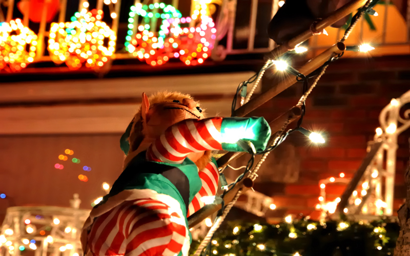 Illustration for article titled Photo Contest: Christmas Lights